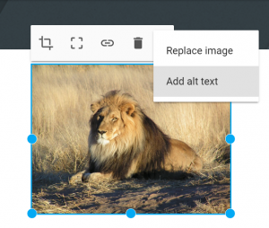 photo of lion with Add alt tag option 